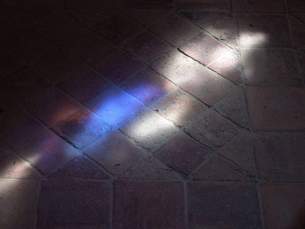 dsc08805.jpg