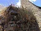 dsc08764.jpg