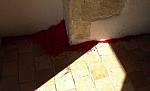 dsc08836.jpg