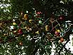 dsc00009.jpg