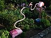 dsc00027.jpg