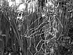 dsc01412.jpg