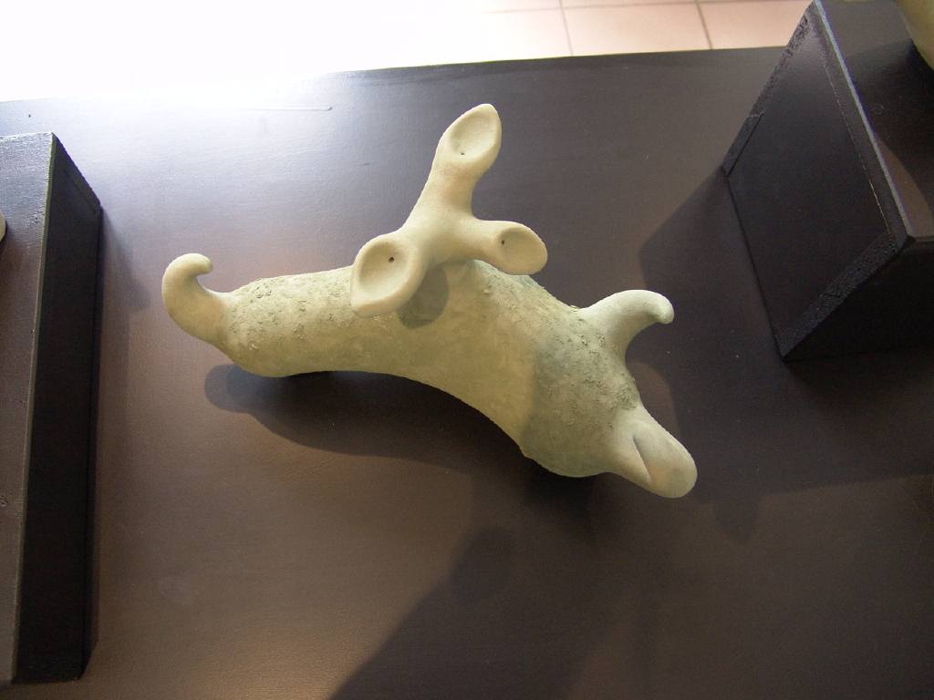 dsc07584.jpg