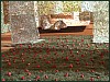 dsc01900.jpg
