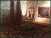 dsc01907.jpg