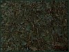 dsc01919.jpg