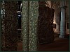 dsc01921.jpg