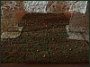 dsc01932.jpg