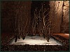 dsc01947.jpg