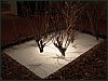 dsc01949.jpg
