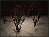 dsc01950.jpg