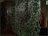 dsc01970.jpg