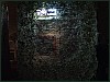 dsc01973.jpg